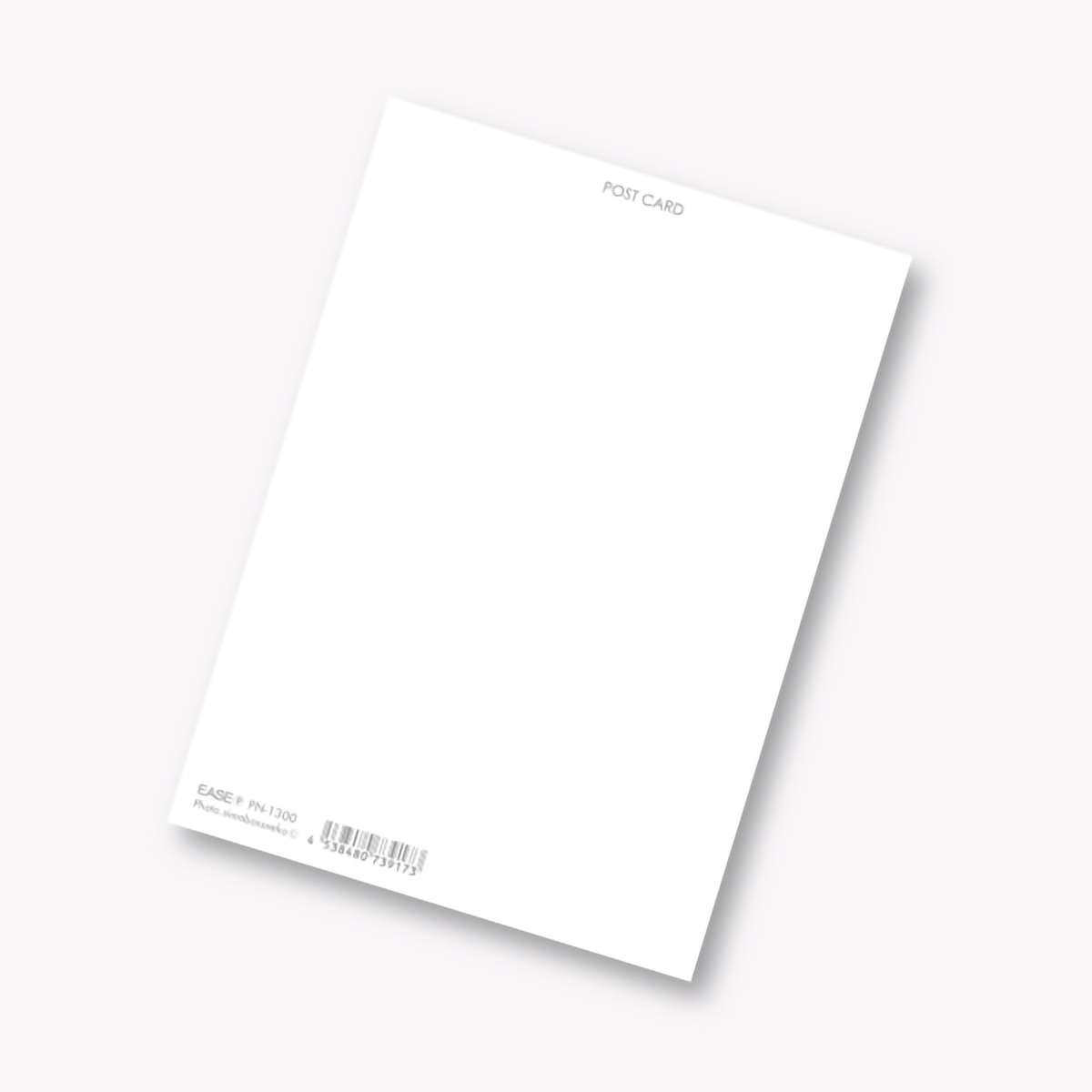 イーズプロダクツ　ネコポストカード　ＰＮ１３００