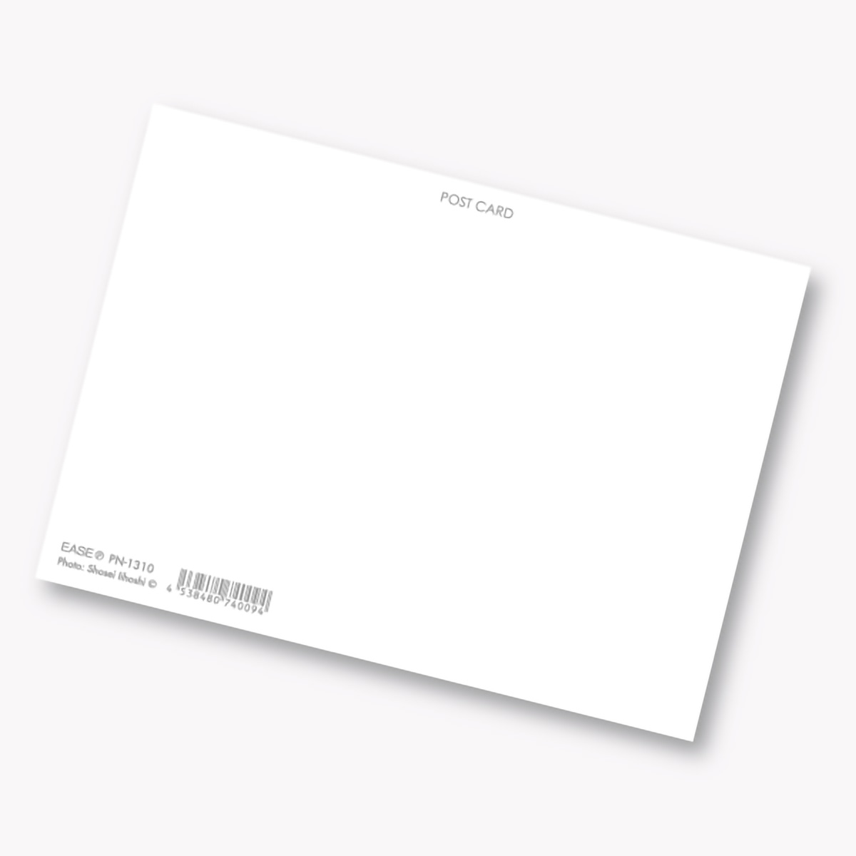 イーズプロダクツ　ネコポストカード　ＰＮ１３１０