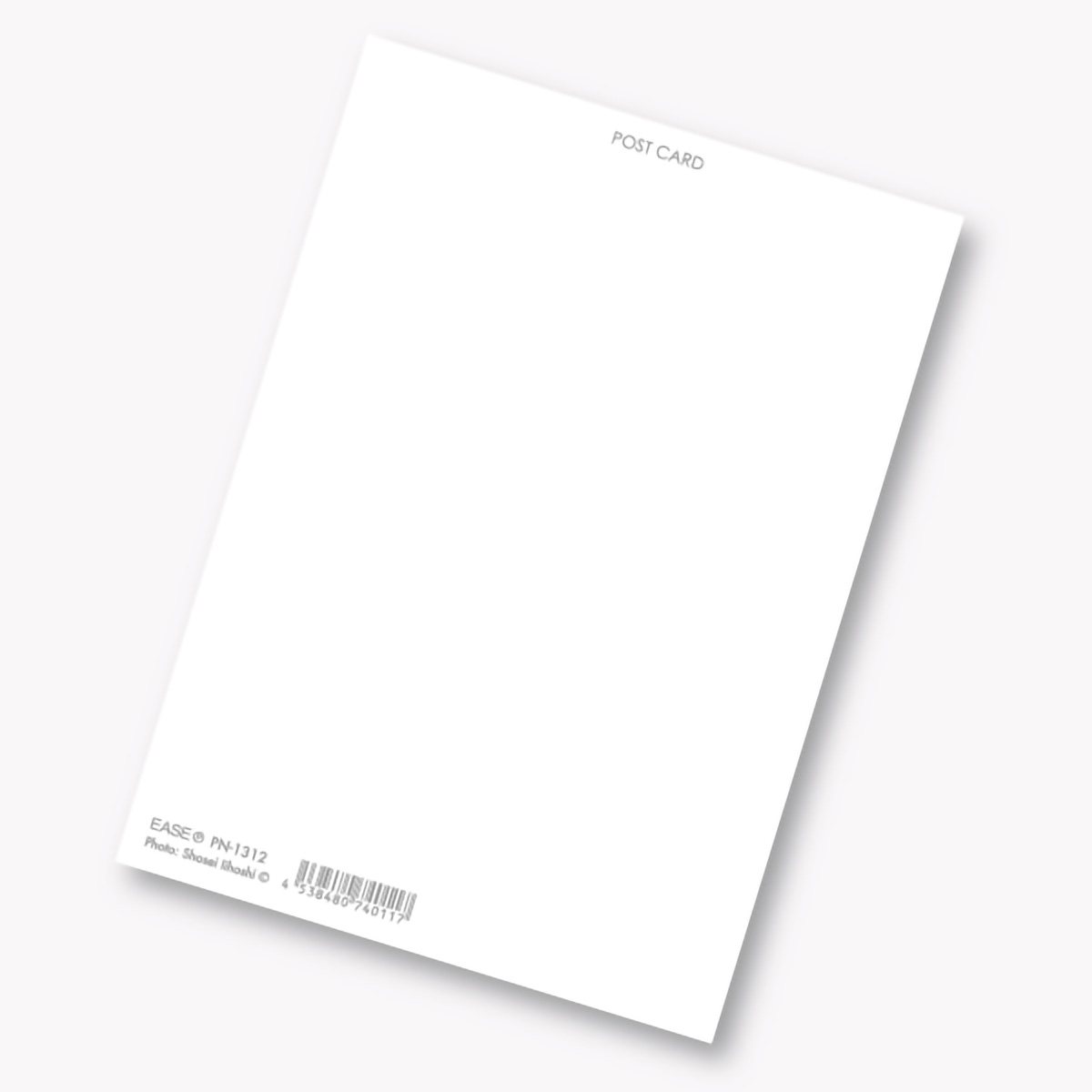 イーズプロダクツ　ネコポストカード　ＰＮ１３１２