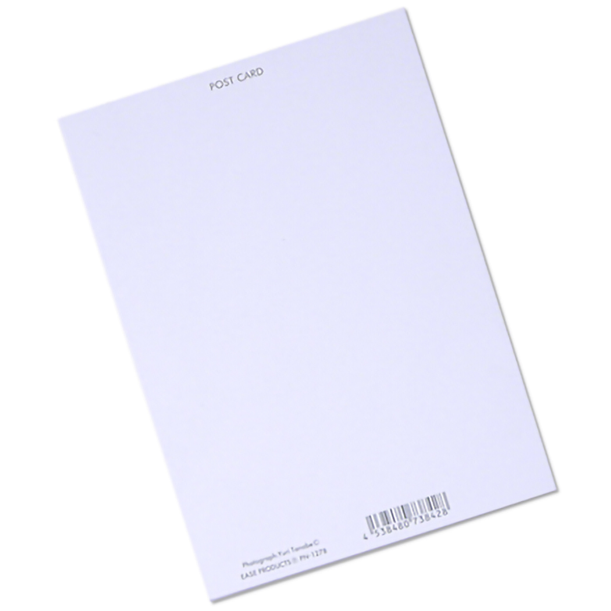 イーズプロダクツ　フラワーポストカード　ＰＮ１２７８