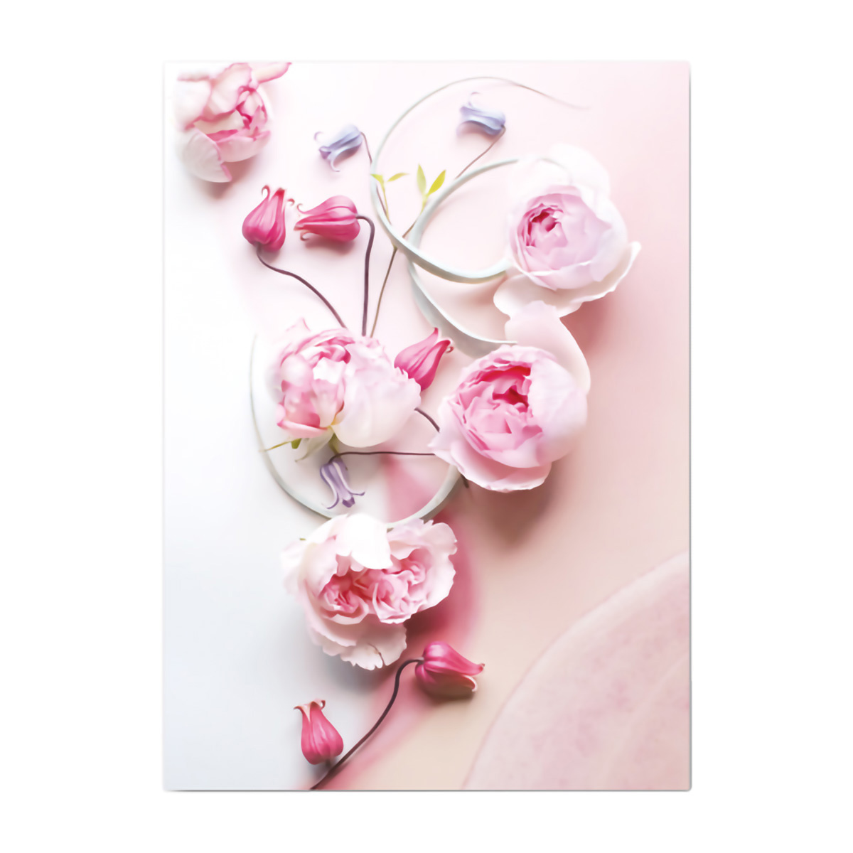 イーズプロダクツ　フラワーポストカード　ＰＮ１３２６