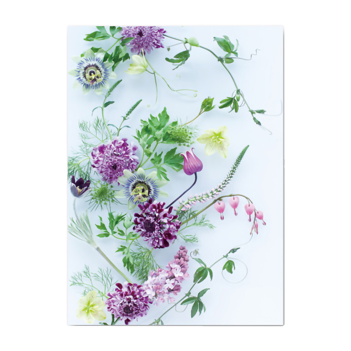 イーズプロダクツ　フラワーポストカード　ＰＮ１３２７