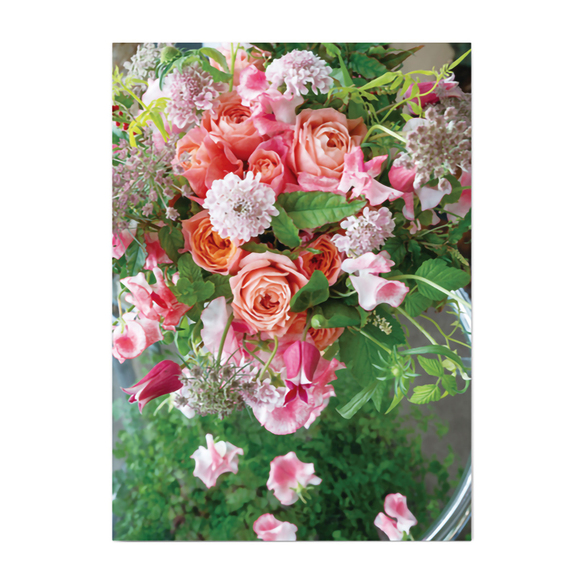 イーズプロダクツ　フラワーポストカード　ＰＮ１３２８