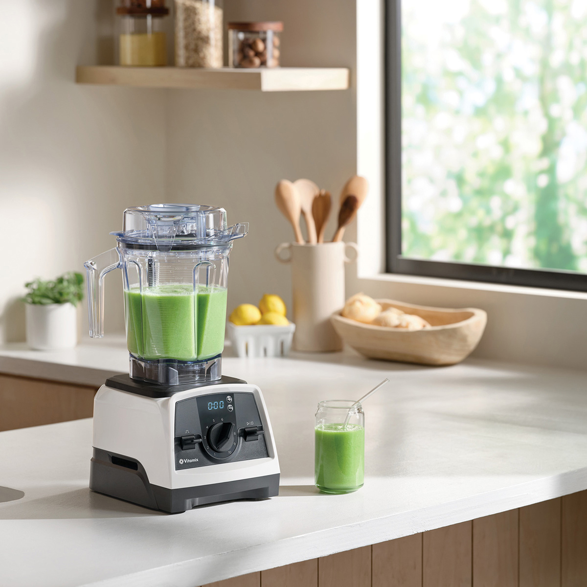 Vitamix V1200i