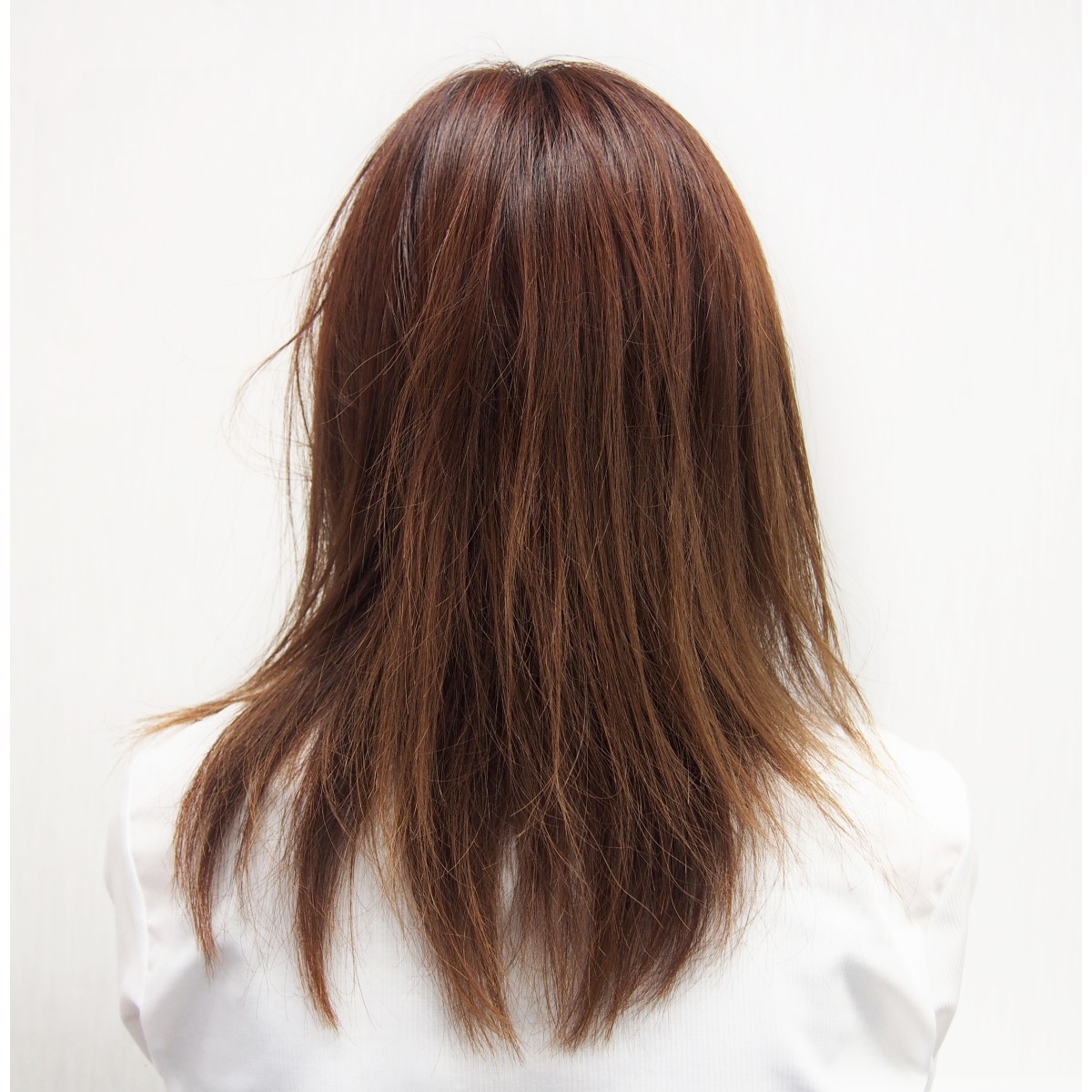 【浅草アートブラシ】猪毛ヘアブラシ かみわざ