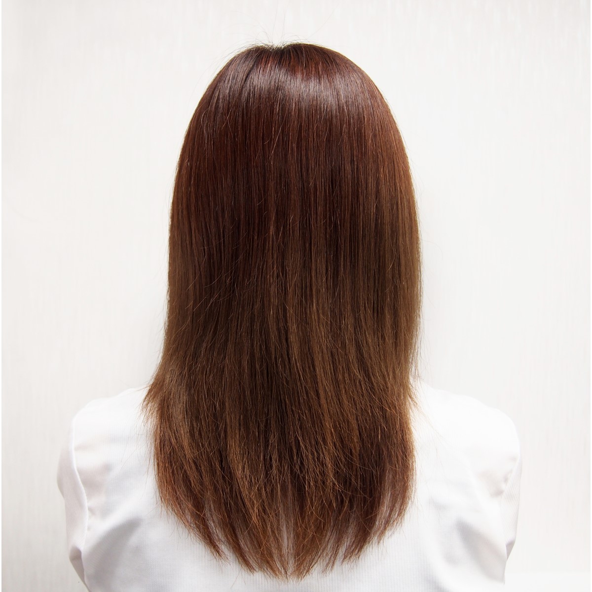 【浅草アートブラシ】猪毛ヘアブラシ かみわざ