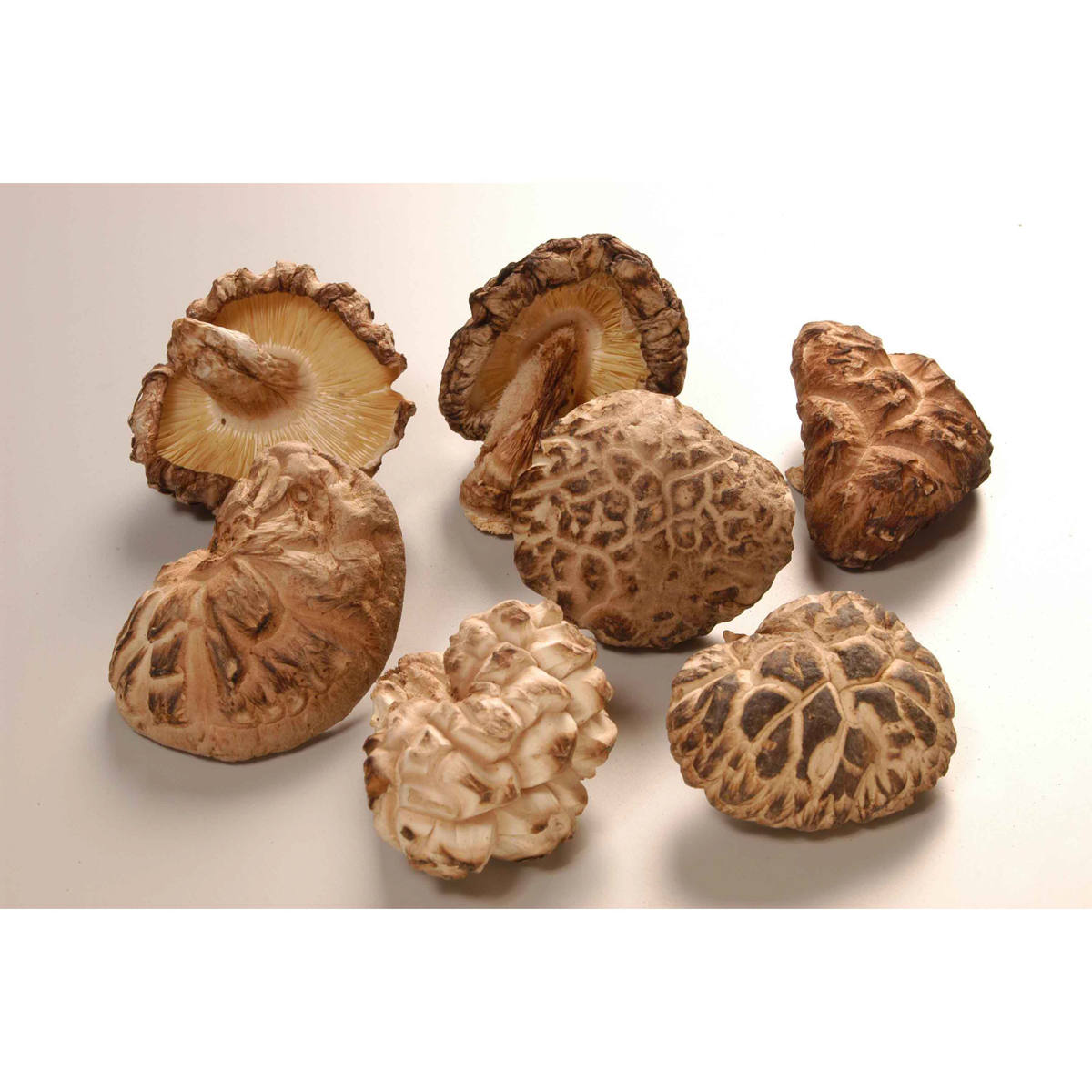 フルタヤ椎茸　小玉どんこ 300g