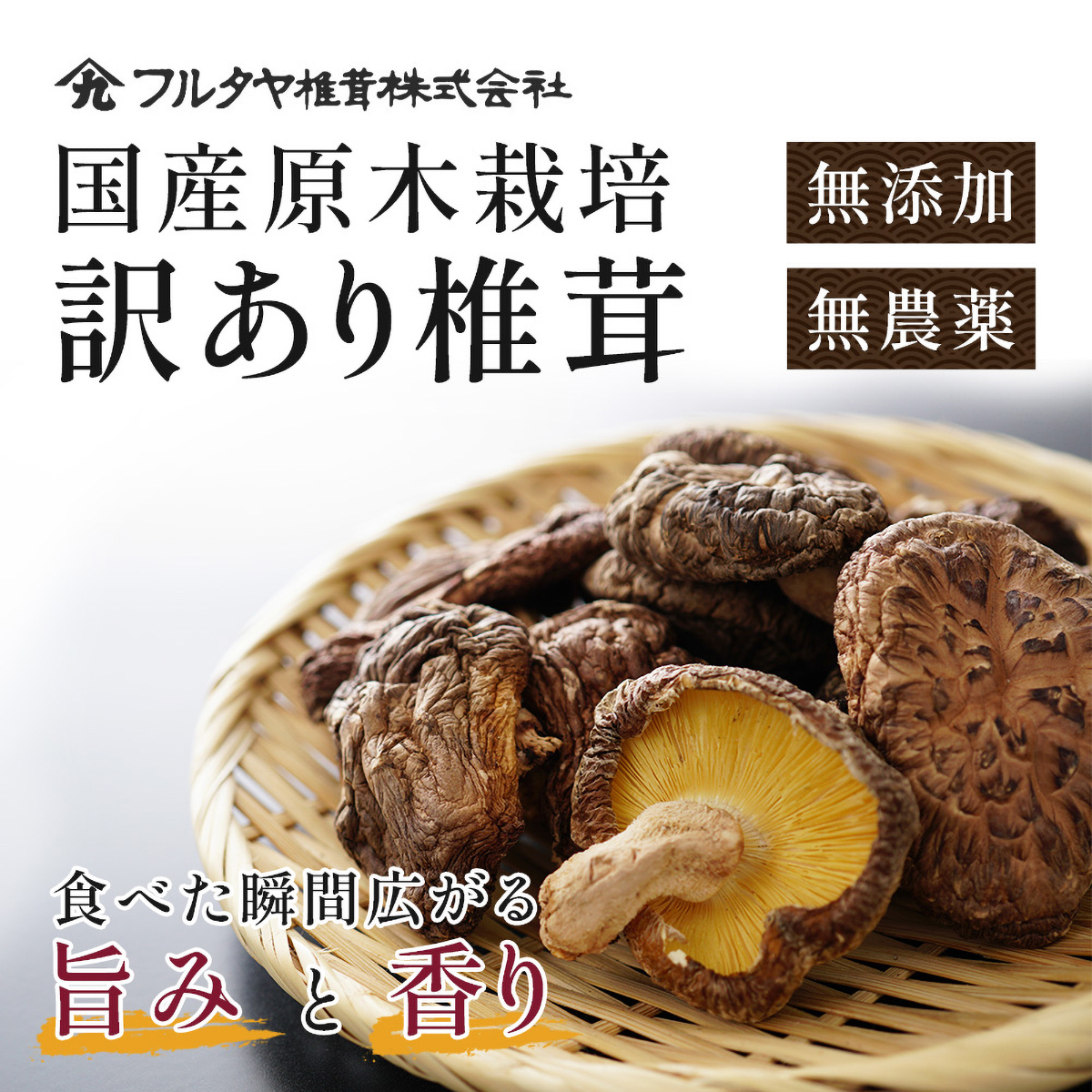 フルタヤ椎茸　原木椎茸（訳あり） 110g