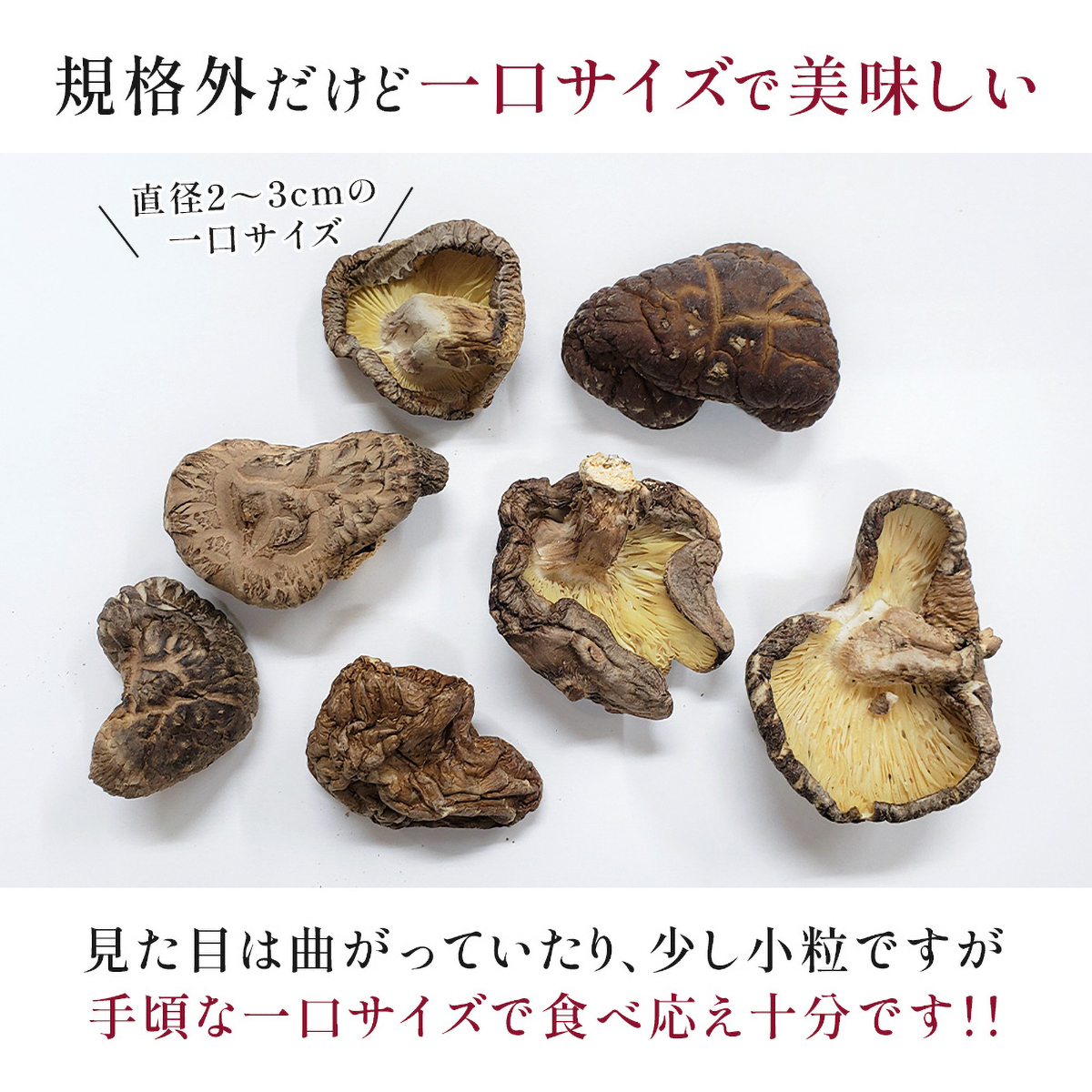 フルタヤ椎茸　原木椎茸（訳あり） 110g