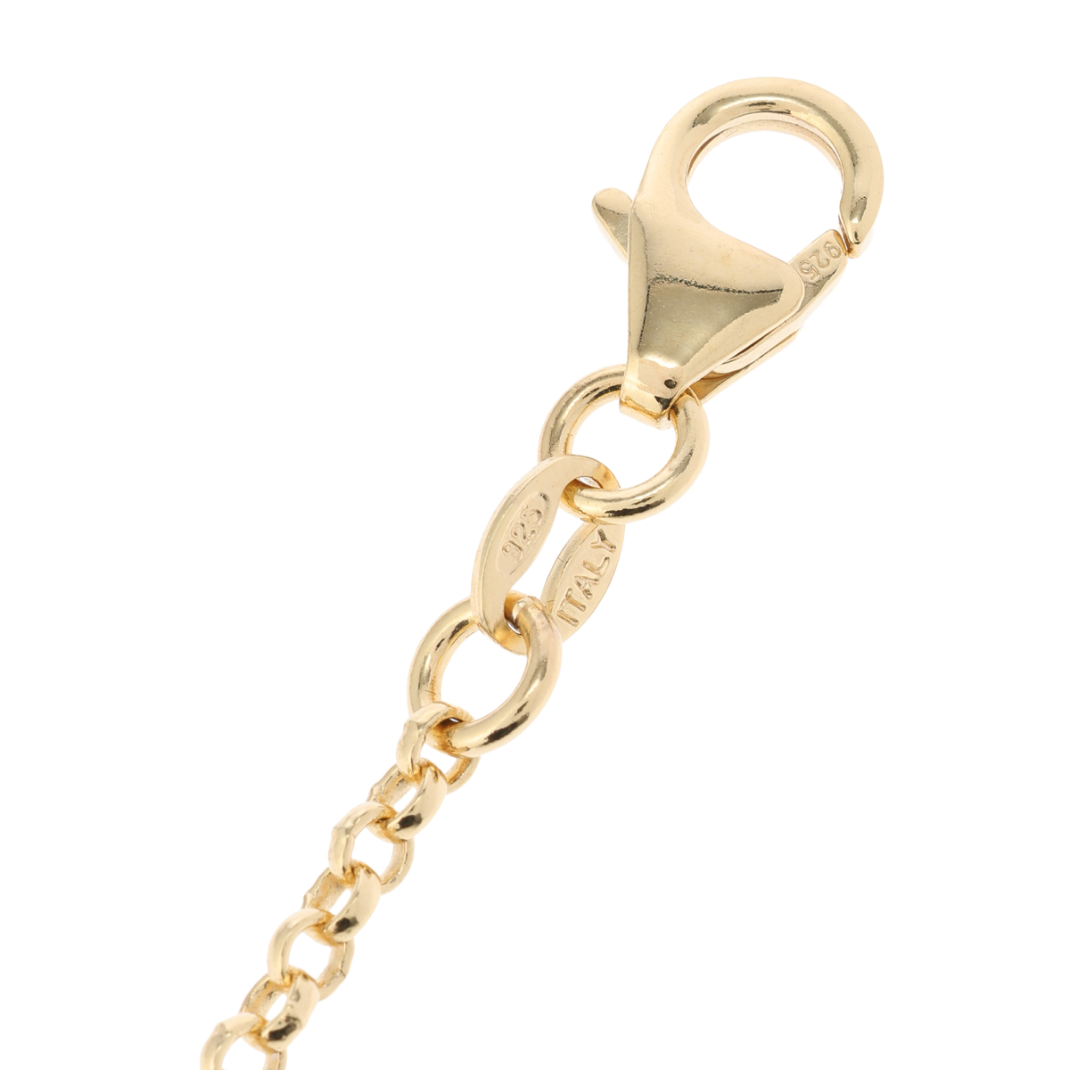 【ベアトリーチェ カメイ】シルバー カメオ＆コーラル フォーチュンネックレス