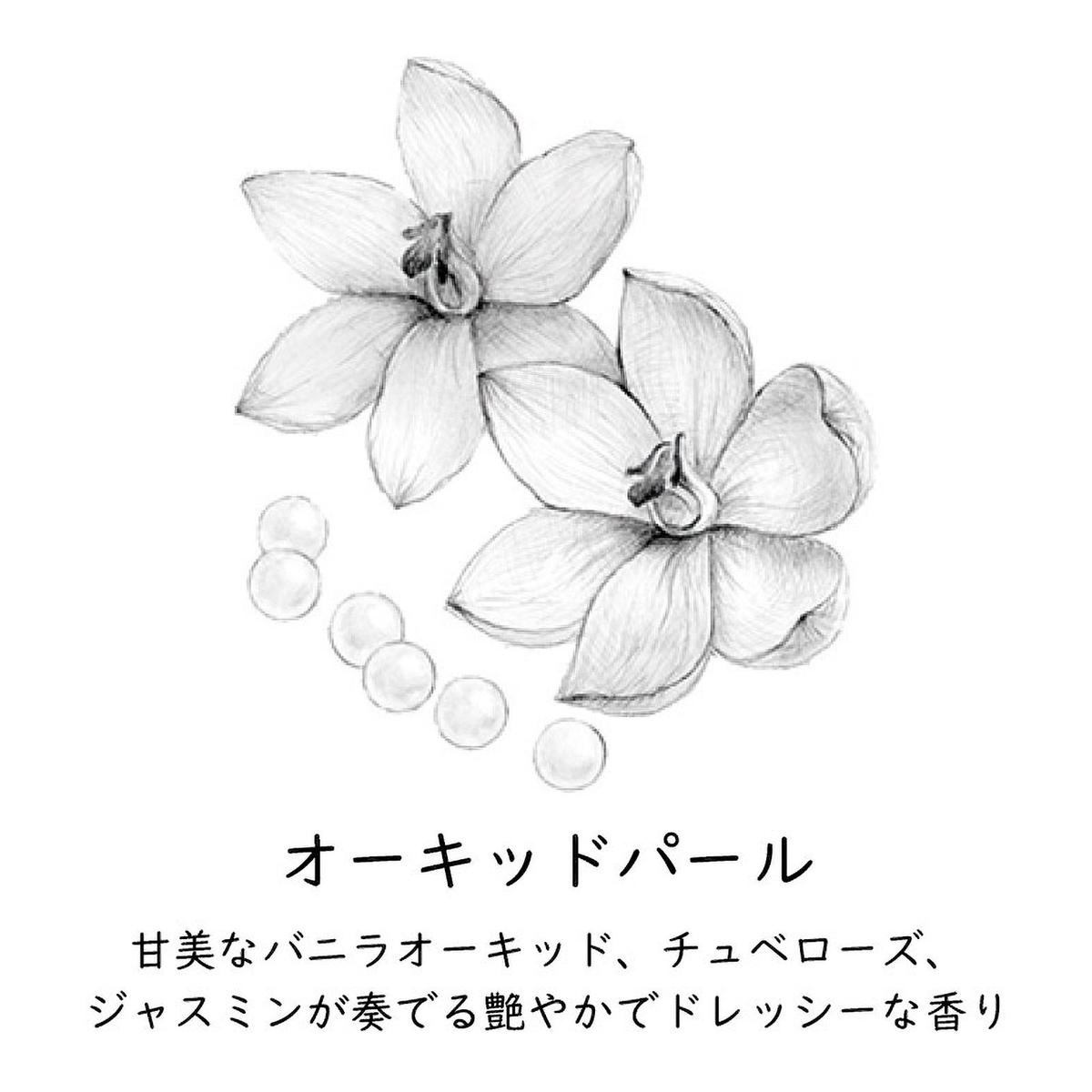 ペーパーインセンス　Orchid pearl（オーキッドパール）