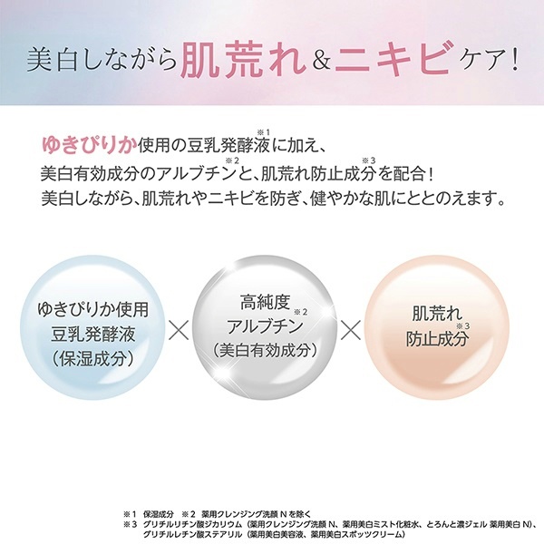 サナ　なめらか本舗　マイクロ純白ミスト化粧水(150G)