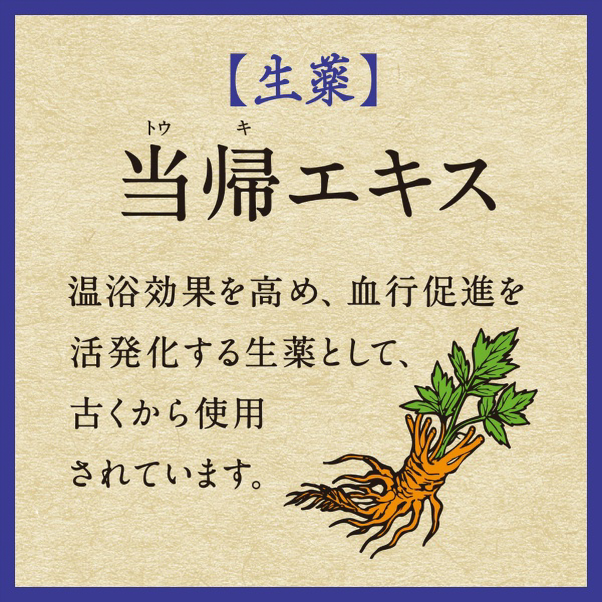 バスロマン薬泉　ほぐし浴　６００Ｇ