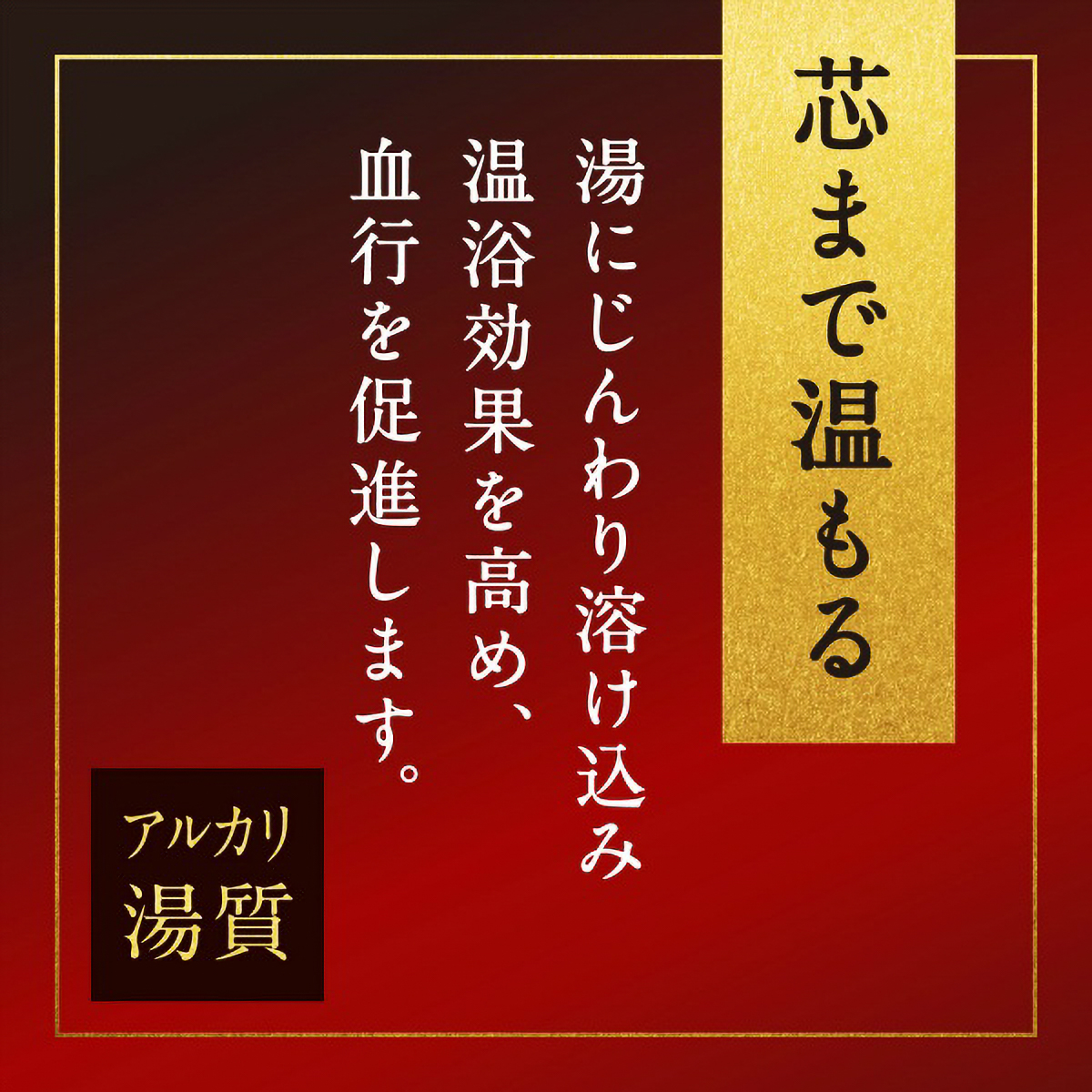 温素　琥珀の湯　６００Ｇ