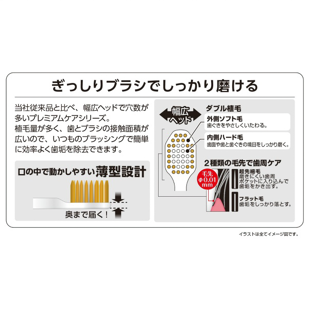 プレミアムケアハブラシ・６列コンパクト　ふつう　１本