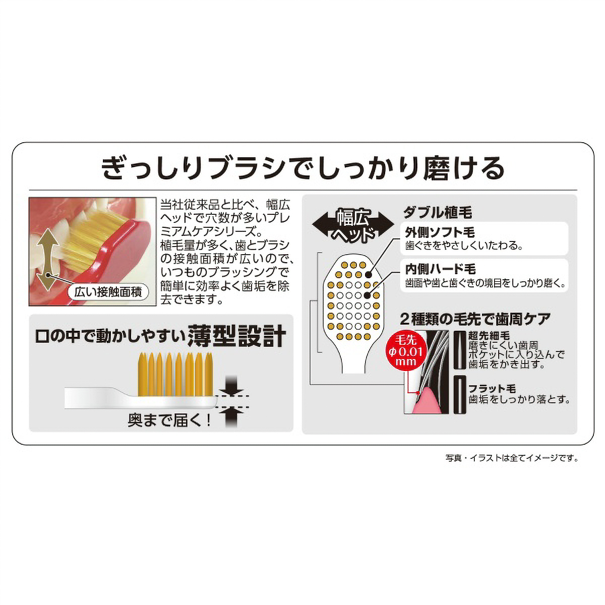 プレミアムケアハブラシ・６列コンパクト　ふつう　１本