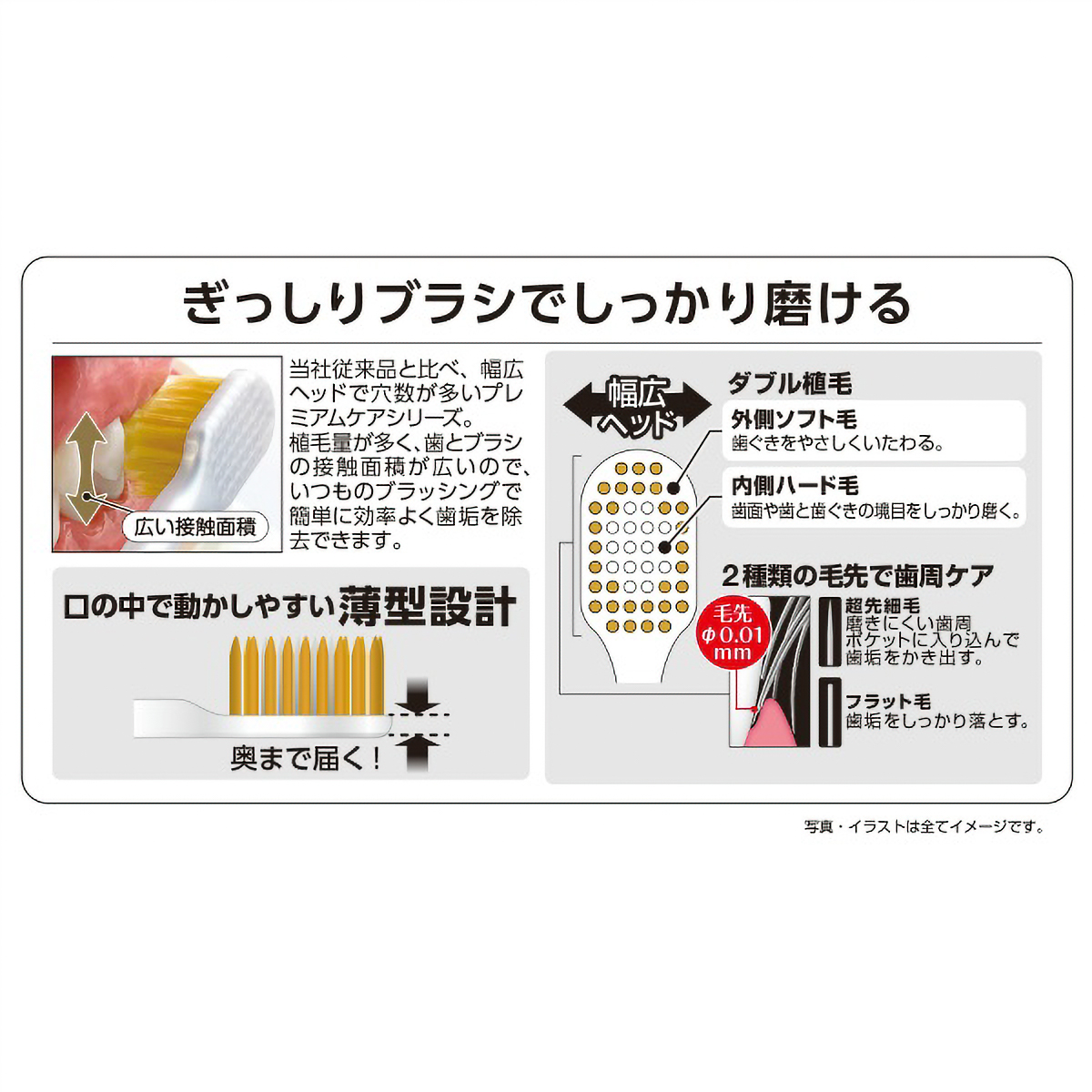 プレミアムケアハブラシ・６列レギュラー　ふつう　１本