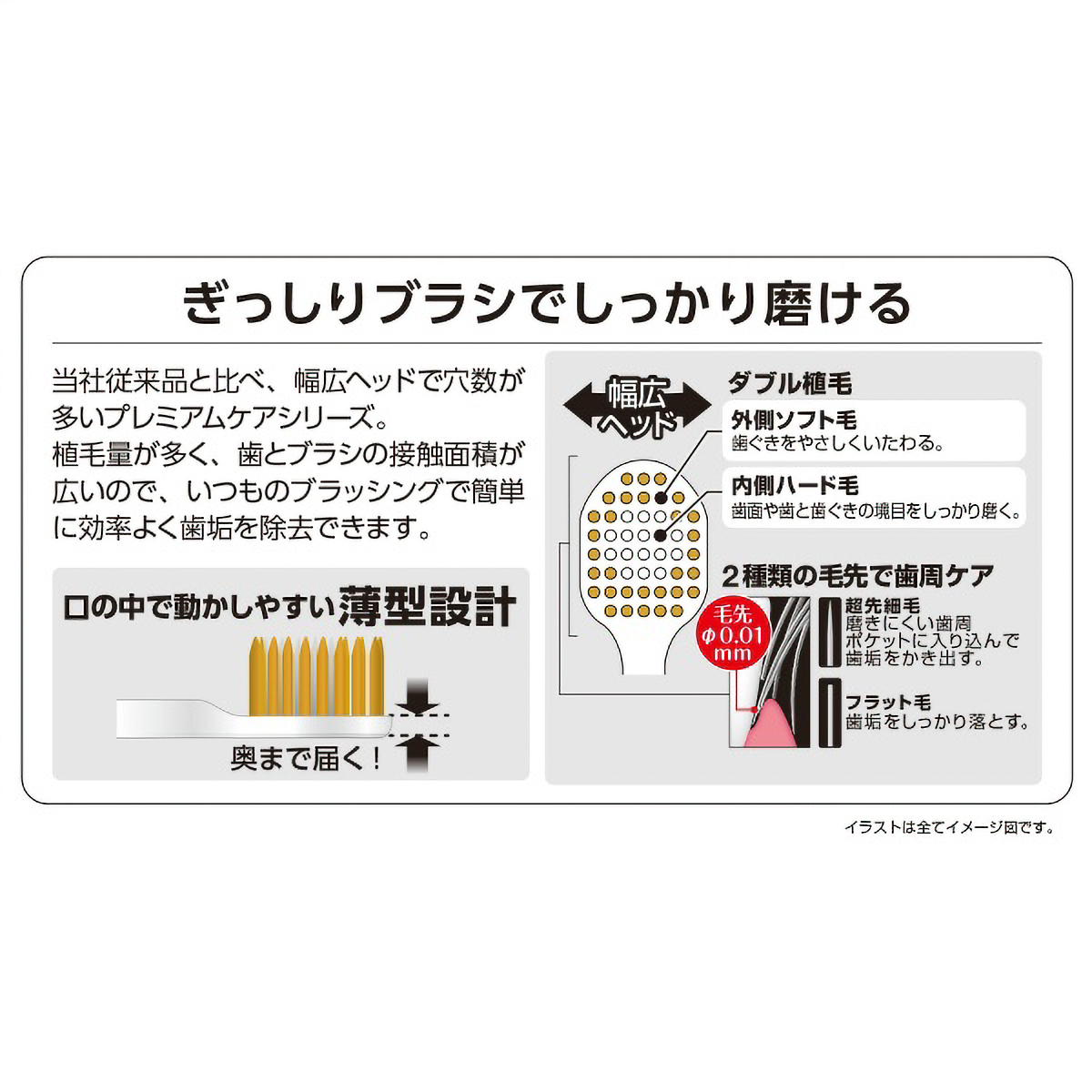 プレミアムケアハブラシ・７列レギュラー　ふつう　１本
