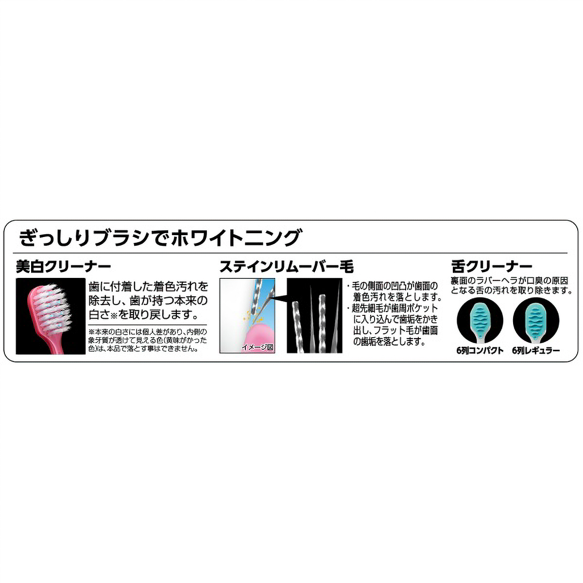 プレミアムケア歯の美白・６列レギュラー　ふつう　１本