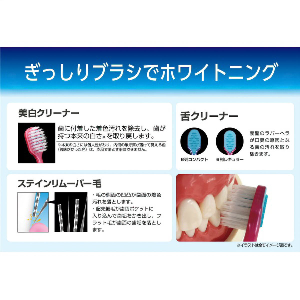 プレミアムケア歯の美白・６列レギュラー　ふつう　１本