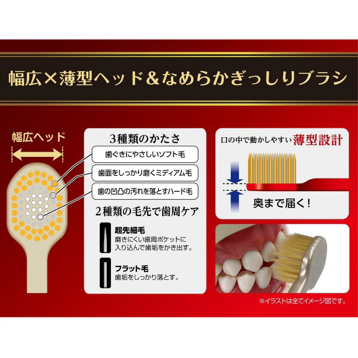 ザ・プレミアムケア　８列レギュラー　やわらかめ　１本