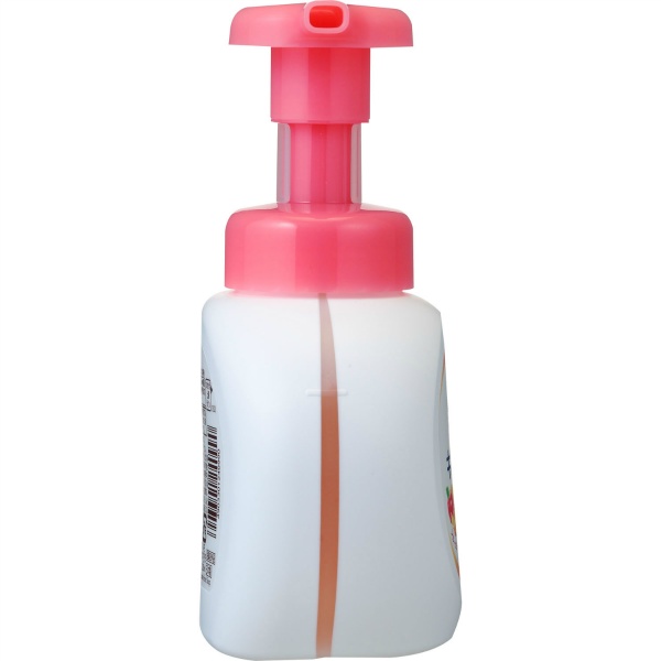 キレイキレイ　薬用泡ハンドソープ　フルーツミックス　ポンプ　２５０ＭＬ