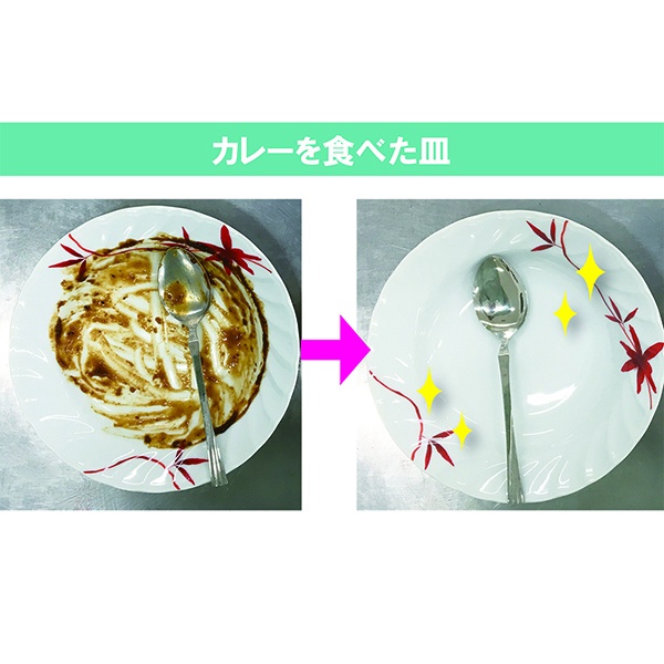 クリーン食器洗い乾燥機専用洗浄剤　５００Ｇ