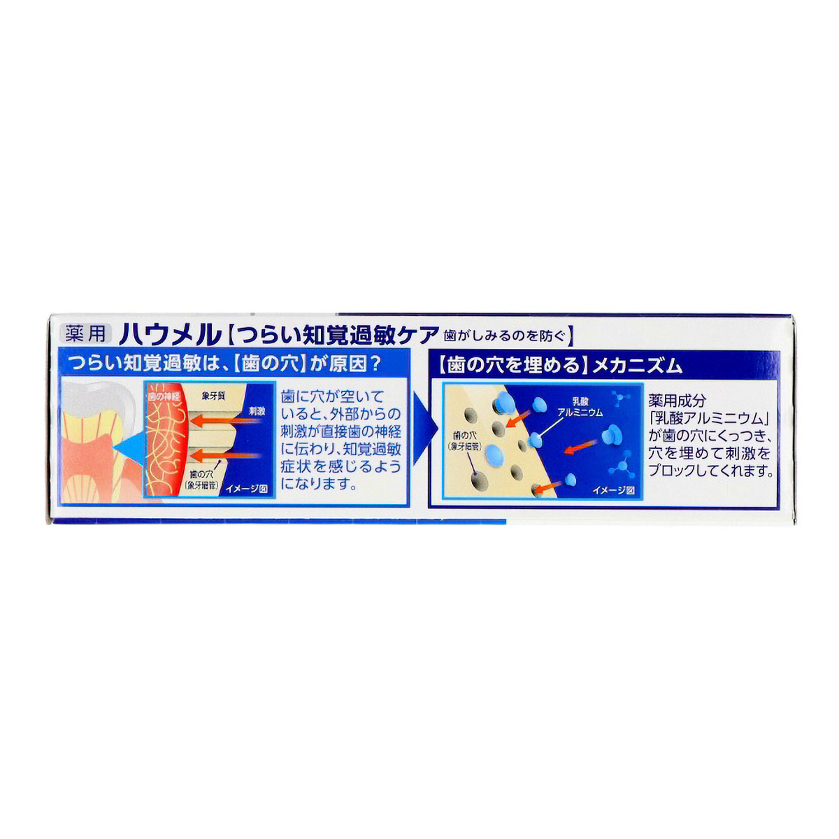 ハウメル　１００Ｇ
