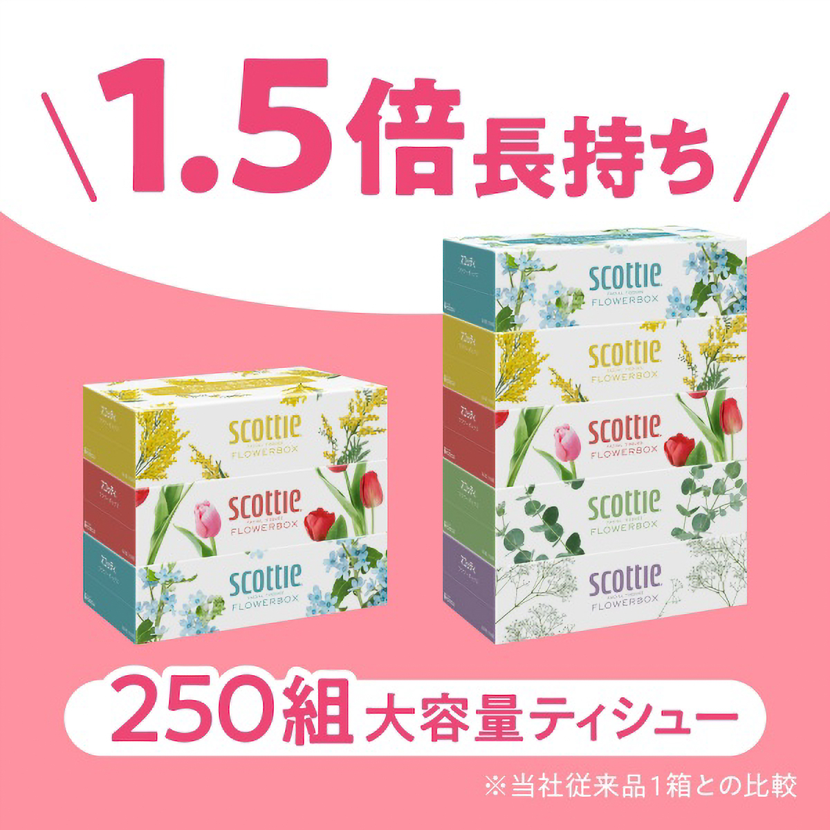 スコッティ　ティシュー　フラワーボックス　２５０組　３箱パック