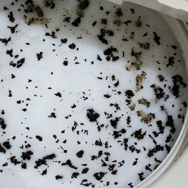 非塩素系　洗濯槽クリーナー　７５０Ｇ