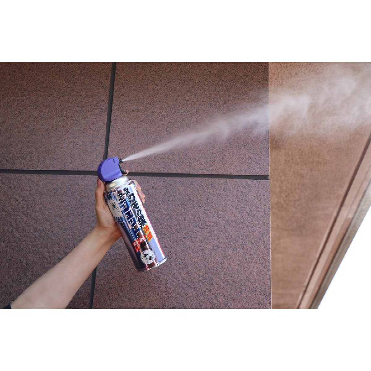 クモの巣消滅ジェット　２個パック