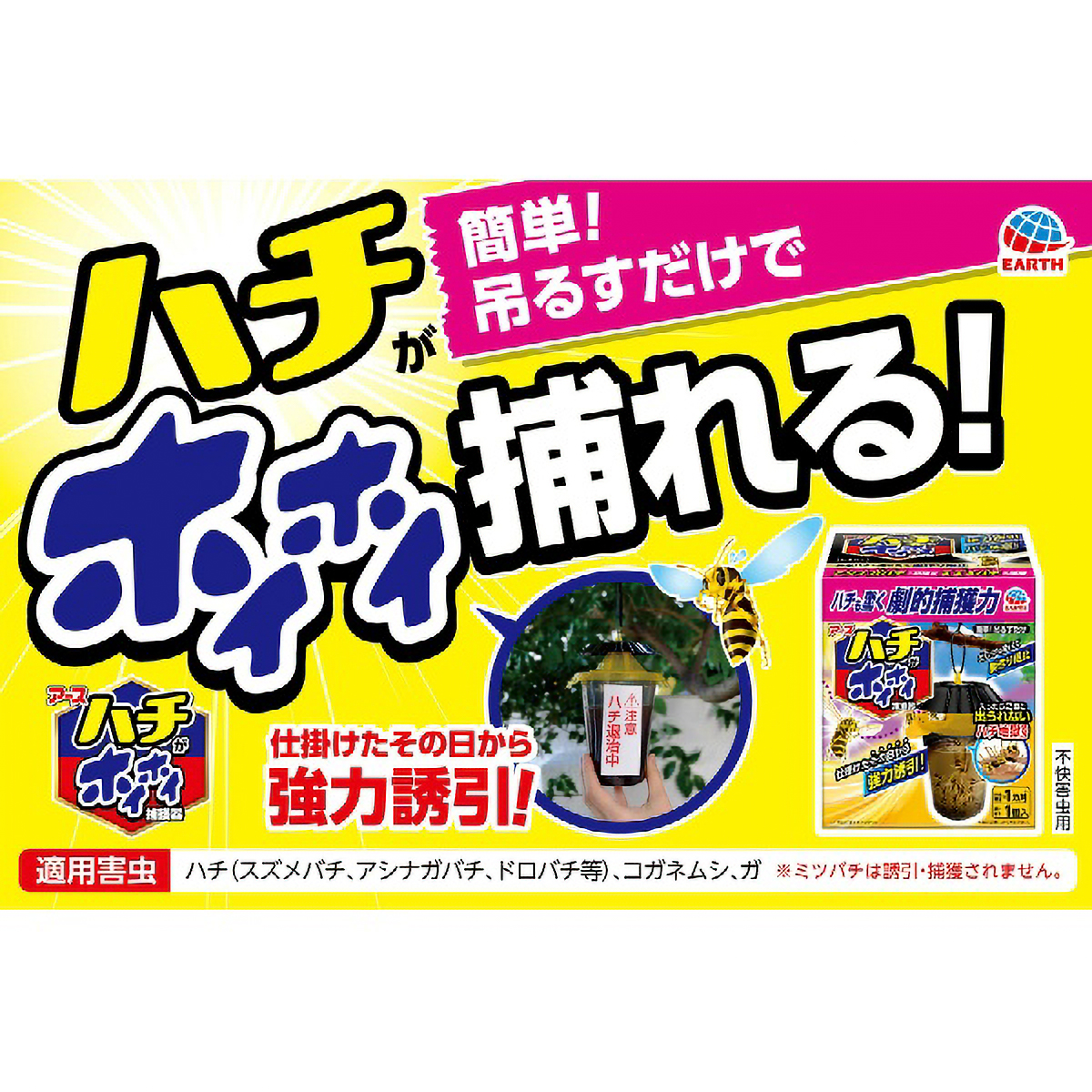 ハチがホイホイ　１個