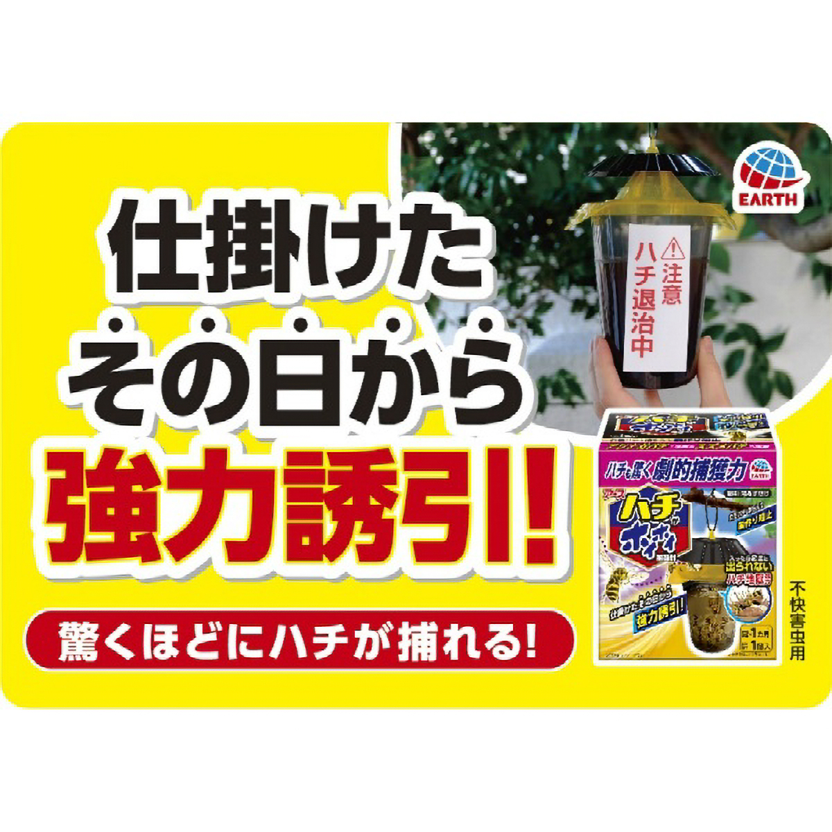 ハチがホイホイ　１個