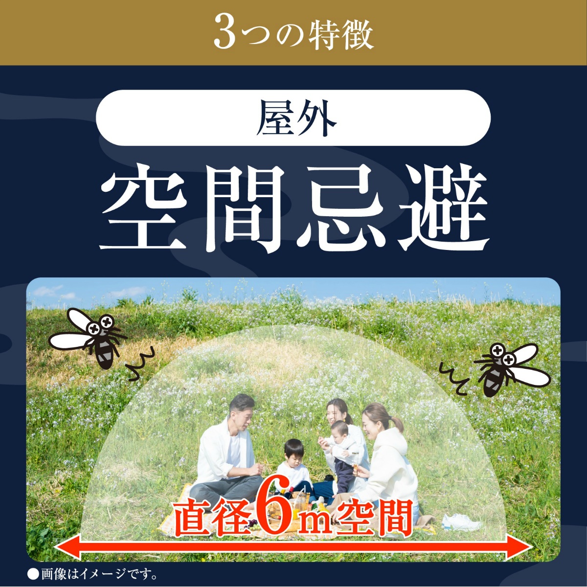 アース渦巻香プロプレミアム　６０巻函入
