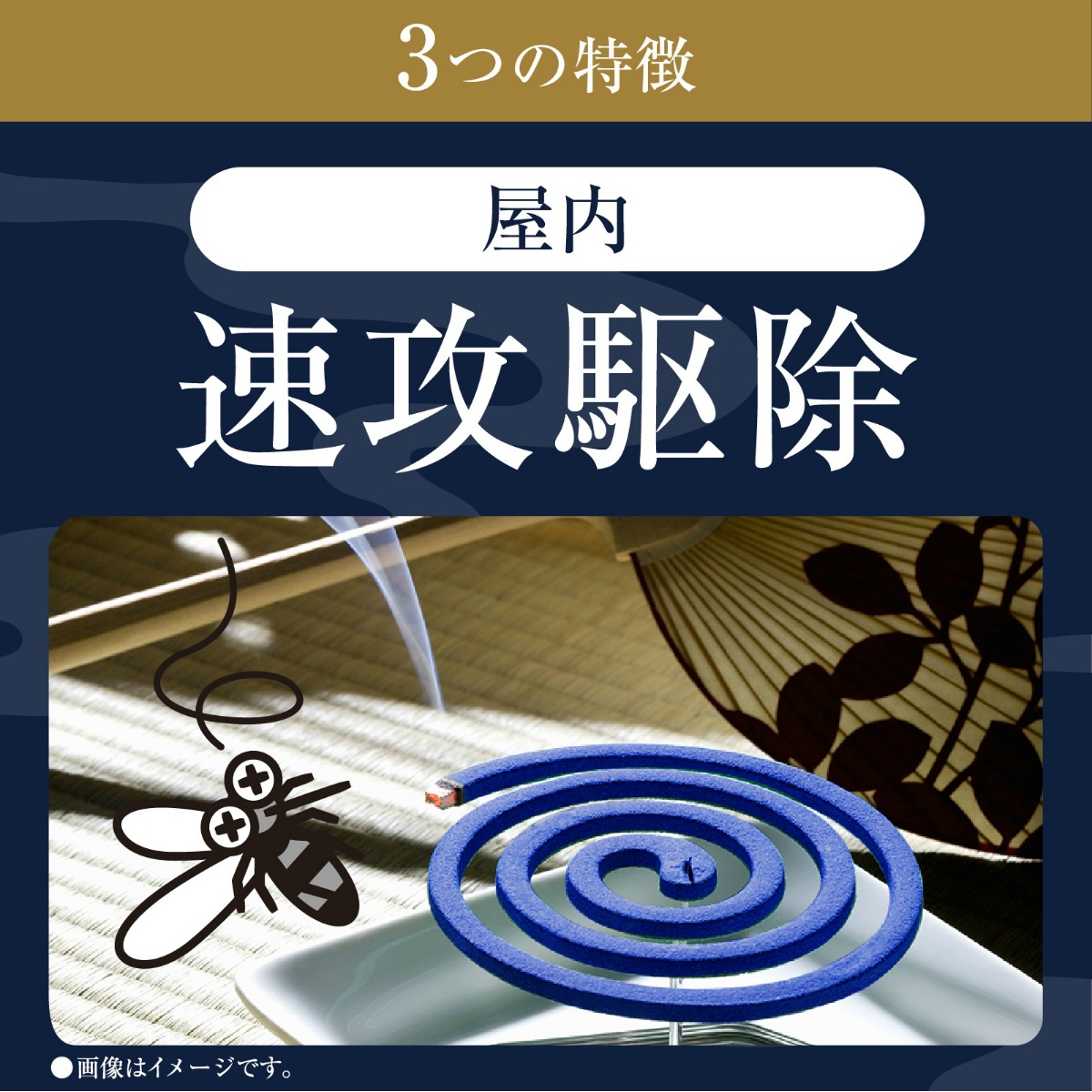 アース渦巻香プロプレミアム　６０巻函入