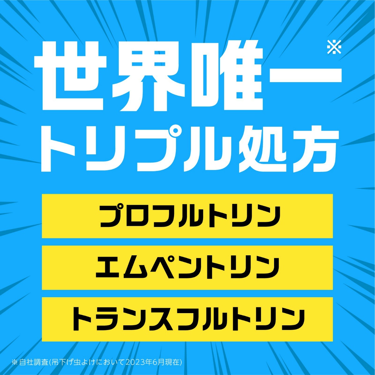 アース虫よけネットＥＸ　玄関用　１年用 １個