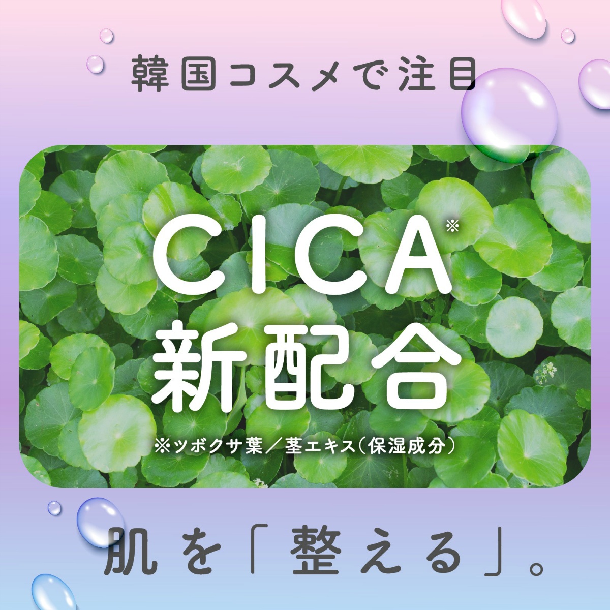 ウルモア高保湿入浴液クリーミーフローラルの香りつめかえ　４８０ｍＬ