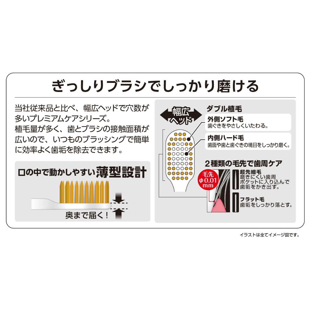 Ｂ－３６０２Ｓ　プレミアムケアハブラシ・６列ラージ　やわらかめ　１本