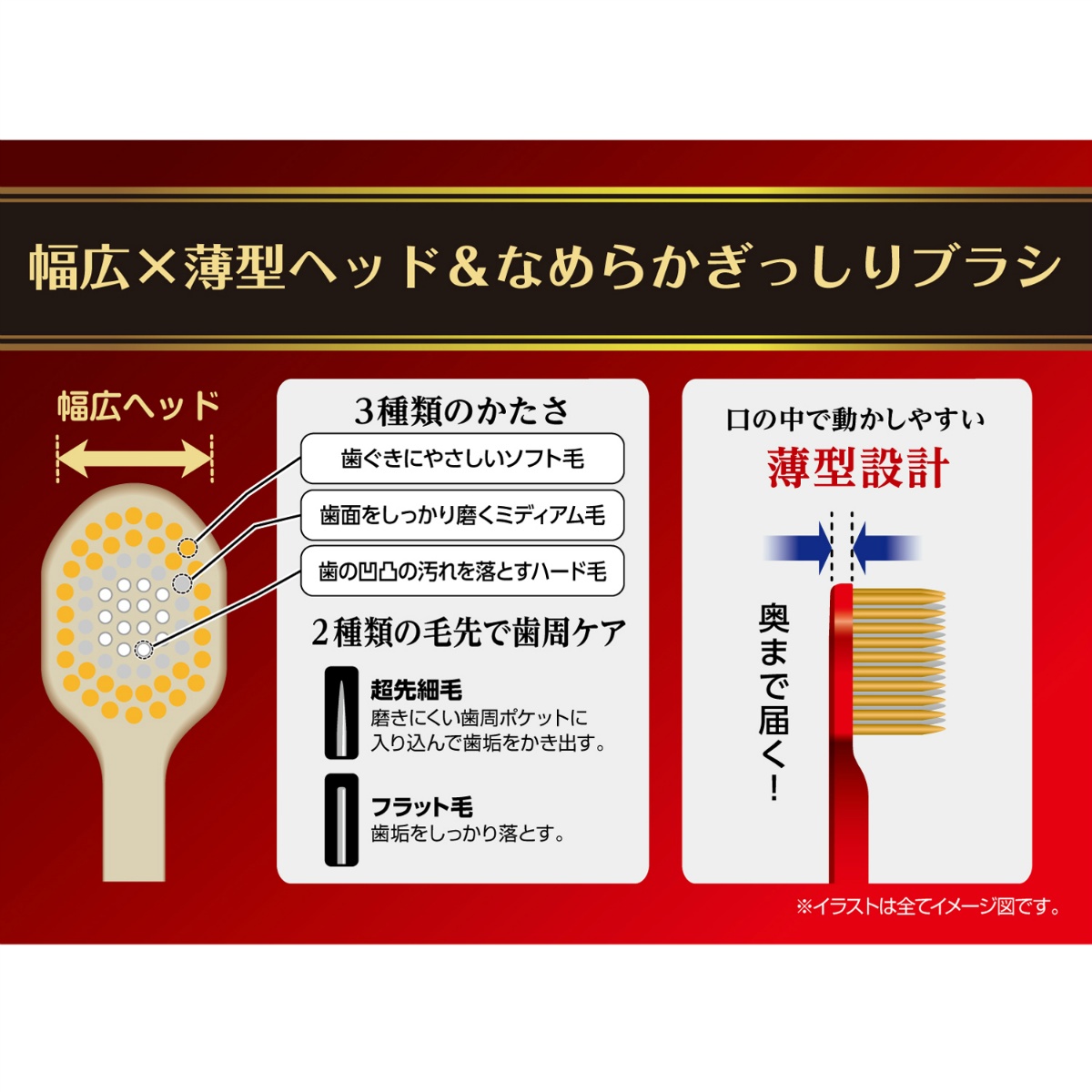 Ｂ－３６２１ＳＳ　ザ・プレミアムケア　８列レギュラー　特にやわらかめ　１本