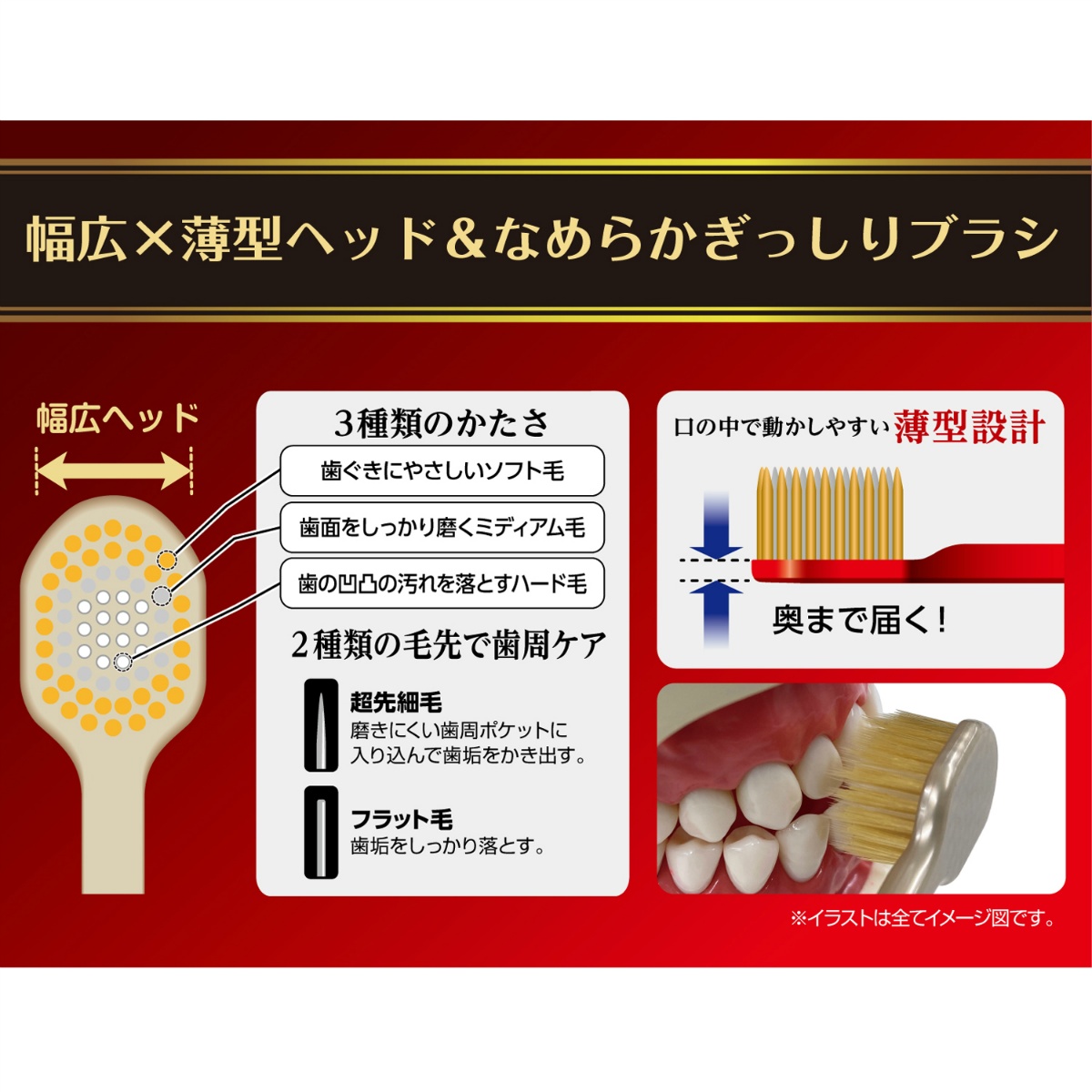 Ｂ－３６２１ＳＳ　ザ・プレミアムケア　８列レギュラー　特にやわらかめ　１本