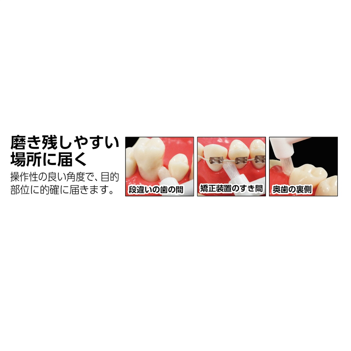 ポイントブラシ　ふつう　１本
