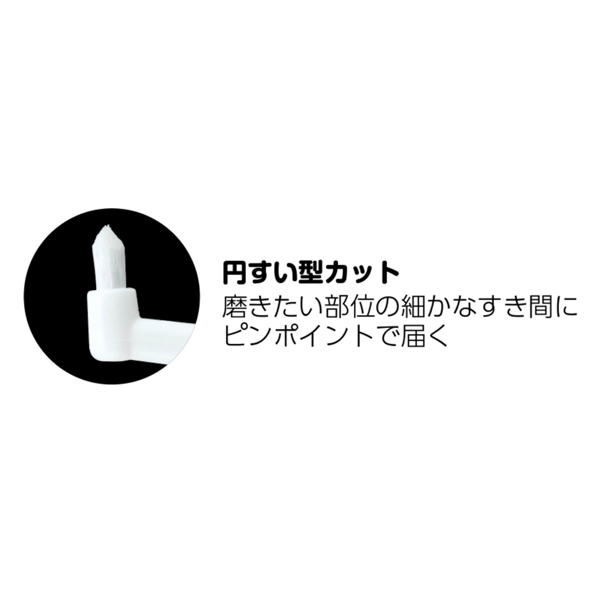 ポイントブラシ　ふつう　１本