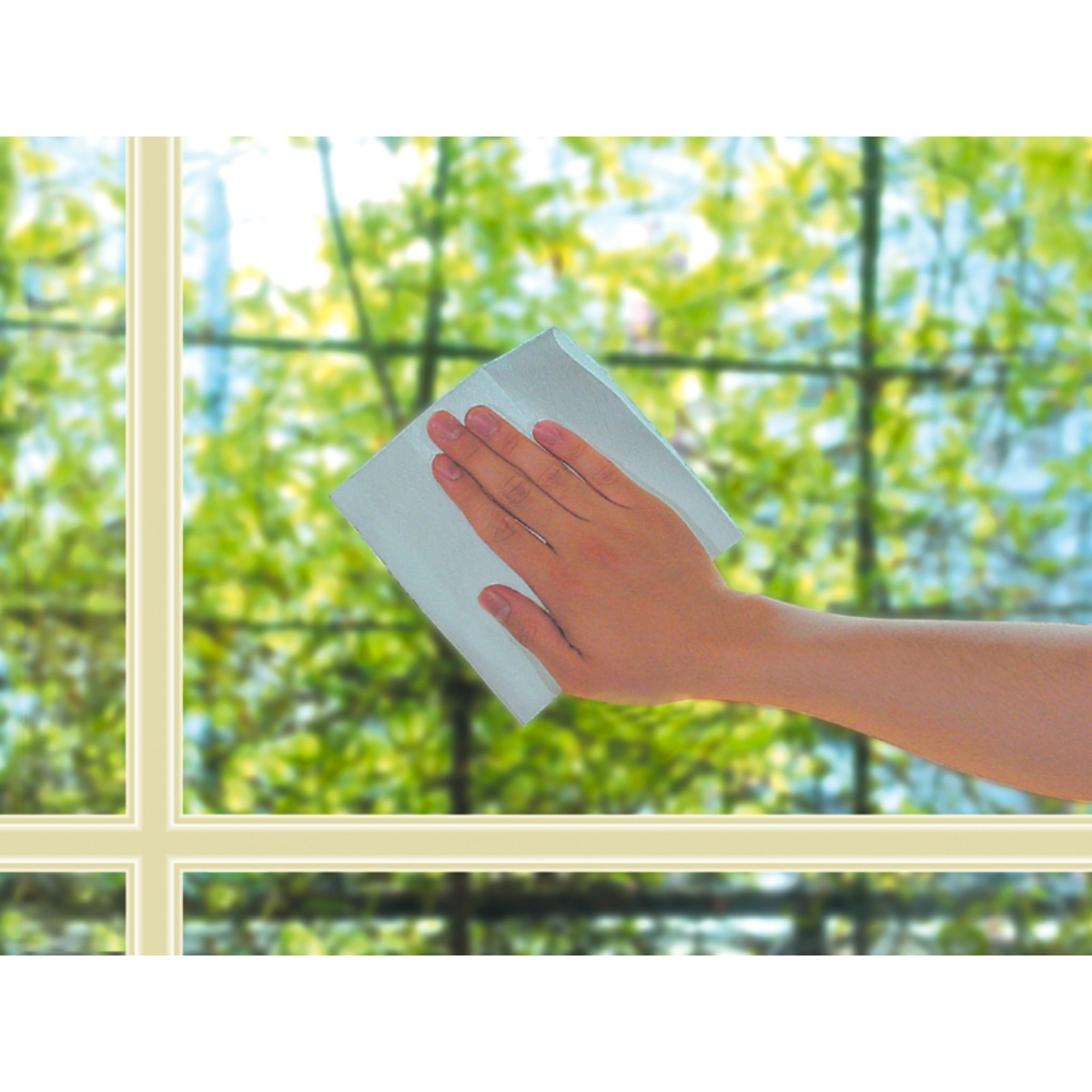 ソフト９９　窓　あっ！　キレイ　　１０枚入り