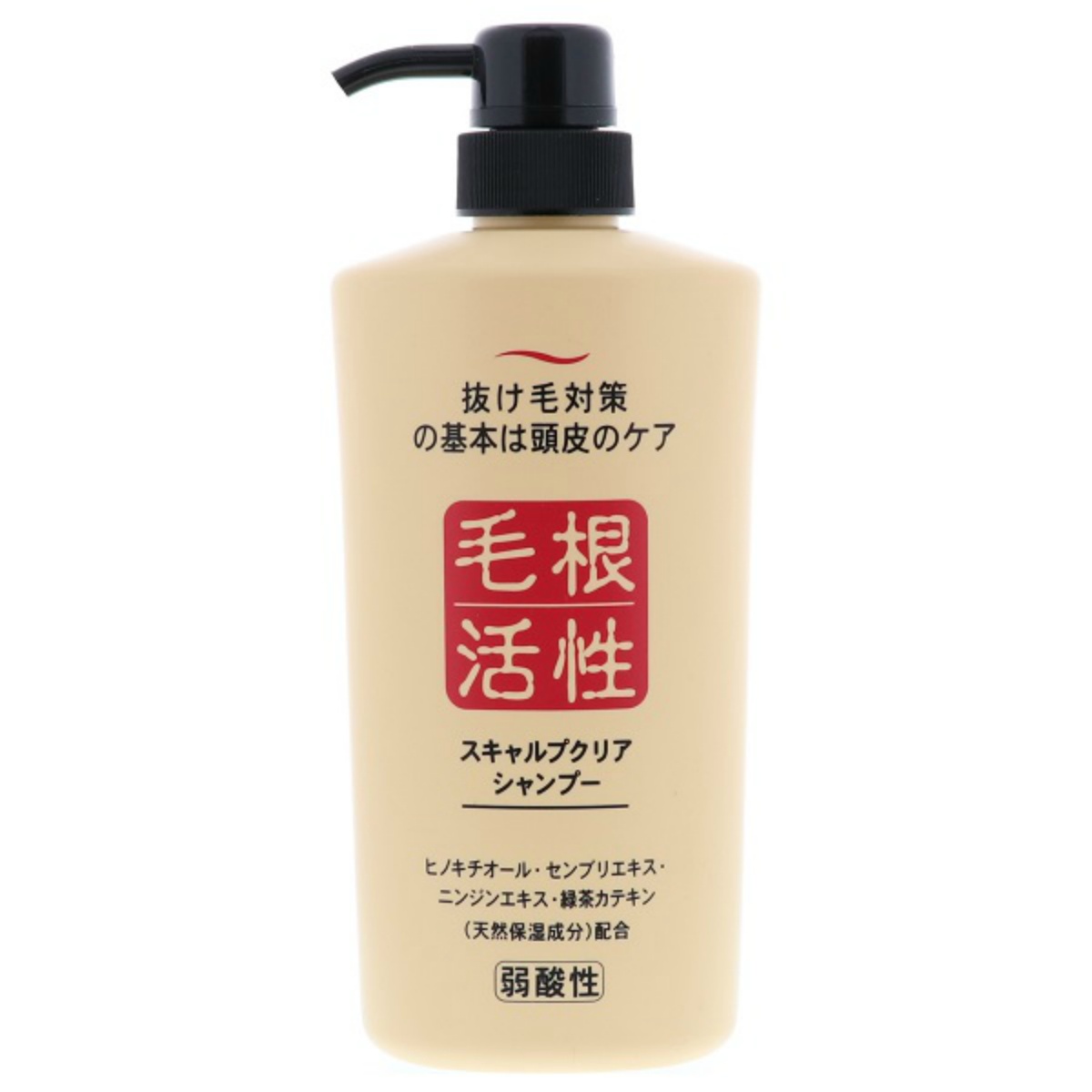スキャルプクリアシャンプー　５５０ｍＬ