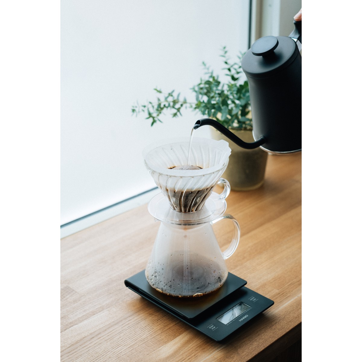 Glass Brewing Kit