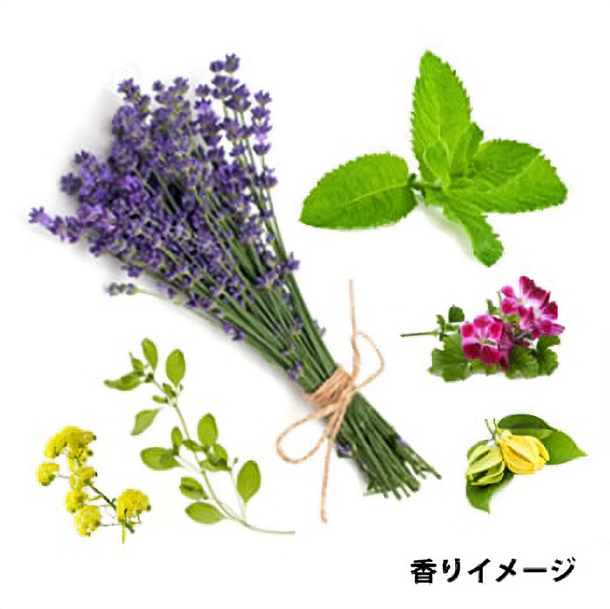 ハリオサイエンス　アロマが香る　スリープミスト　クールラベンダー