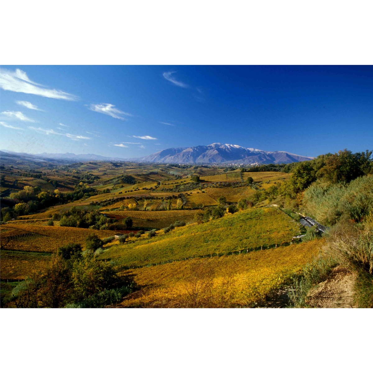 ファンティーニ　エディツィオーネ　チンクエ　アウトークトニ 750ml【赤ワイン　イタリア】