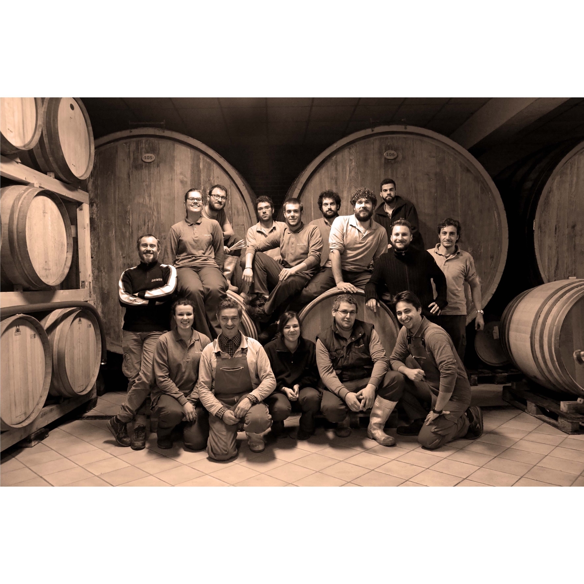 テッレ　デル　バローロ　バローロ 750ml【赤ワイン　イタリア】