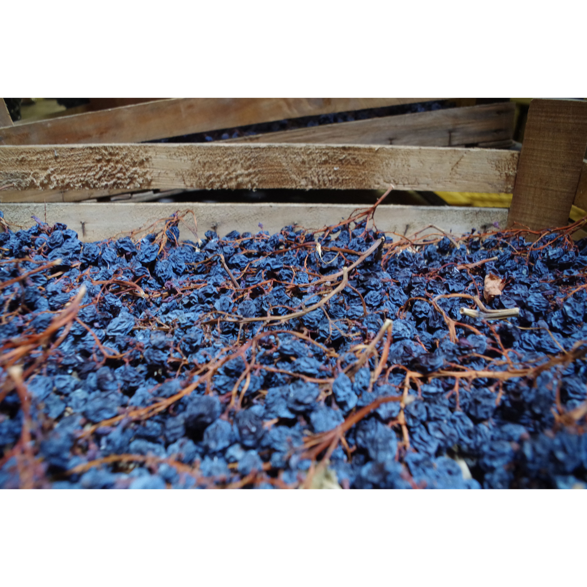 ルイジリゲッティ　アマローネ　デッラ　ヴァルポリチェッラ　クラッシコ 750ml【赤ワイン　イタリア】