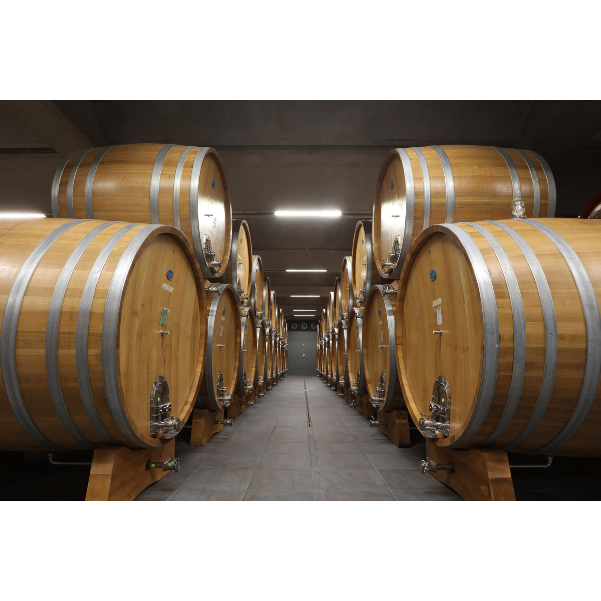 テッレ　デル　バローロ　バルバレスコ 750ml【赤ワイン　イタリア】